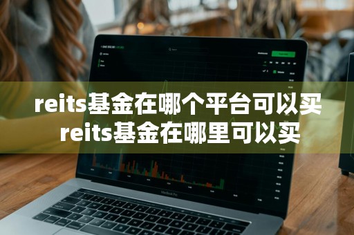 reits基金在哪个平台可以买 reits基金在哪里可以买