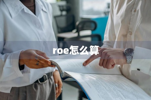 roe怎么算