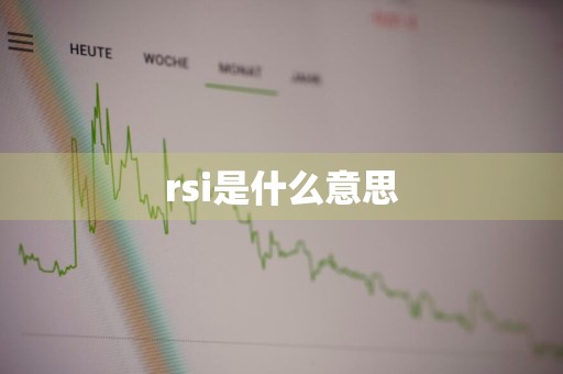 rsi是什么意思