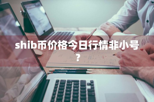 shib币价格今日行情非小号?