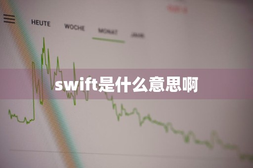 swift是什么意思啊