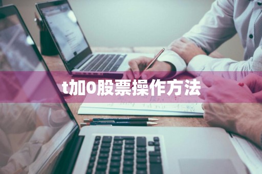 t加0股票操作方法