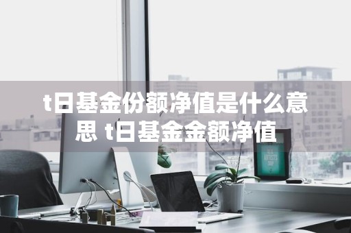 t日基金份额净值是什么意思 t日基金金额净值