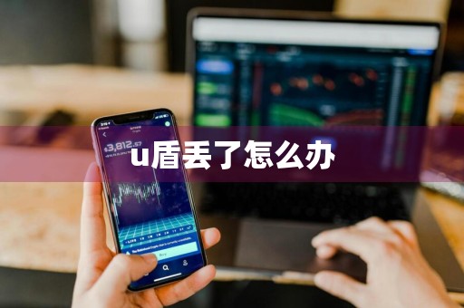 u盾丢了怎么办