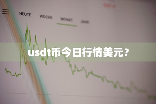usdt币今日行情美元？