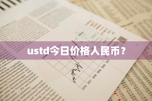 ustd今日价格人民币？