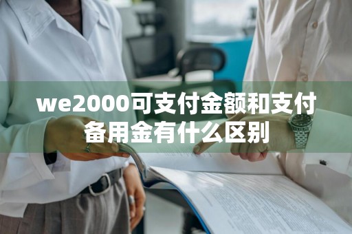 we2000可支付金额和支付备用金有什么区别