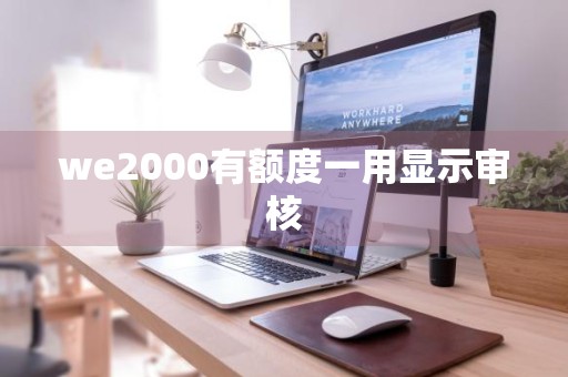 we2000有额度一用显示审核